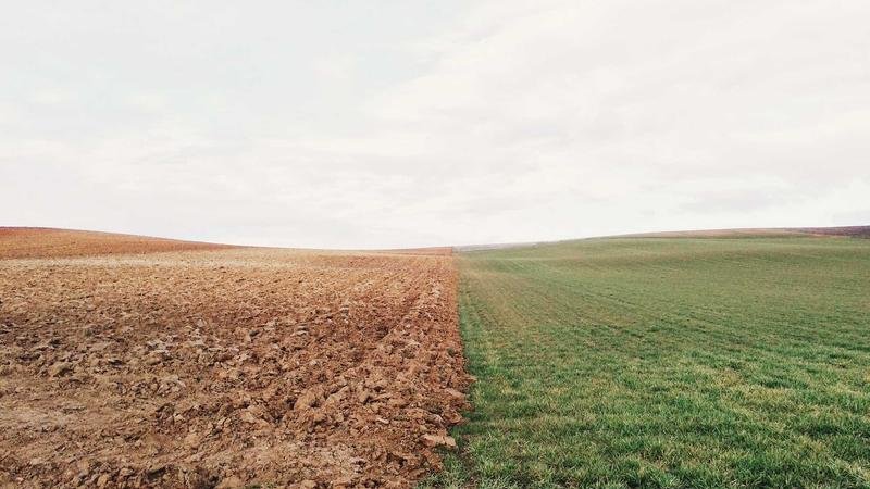 Copy.ai vs Jasper comparison